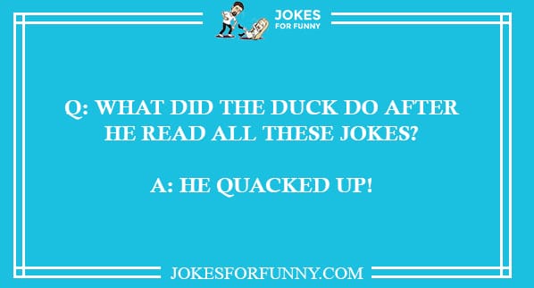 Duck Jokes for Kids & Adults - Clean & Dirty Collection