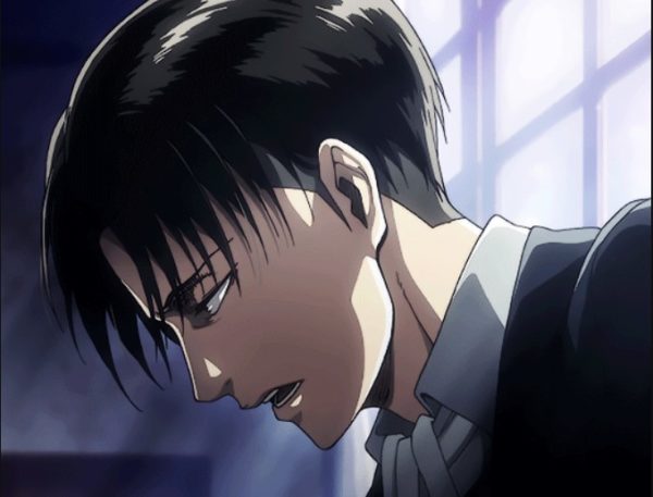 Levi Ackerman Biography - Attack on Titan - Jokes for funny