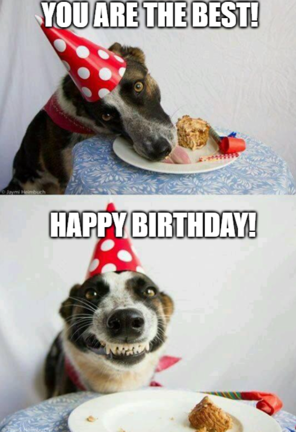 Funny Happy Birthday Meme for Her or Him - Original Collection
