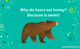 44 Bear Jokes That Will Make You to Laugh Harder